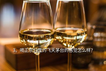 3、喝正宗53度的飛天茅臺的感覺怎么樣？