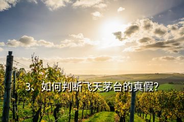 3、如何判斷飛天茅臺的真假？