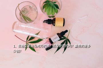 1、我看見茅臺(tái)有兩萬的酒，還有更貴的嗎？最貴的是多少錢？