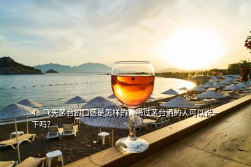 4、飛天茅臺(tái)的口感是怎樣的，喝過茅臺(tái)酒的人可以說(shuō)一下嗎？