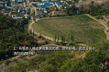 1、有很多人喝過茅臺集團的酒，說不好喝。說還沒有小酒坊的酒好喝？