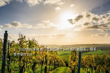 1、2019貴州茅臺酒廠社會招聘什么時候開始報名，報名條件是什么？