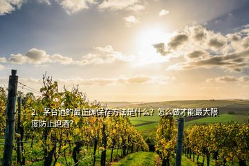 2、茅臺酒的最正確保存方法是什么？怎么做才能最大限度防止跑酒？