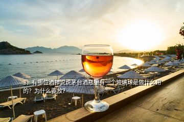 3、有哪位酒神說說茅臺(tái)酒瓶里有一個(gè)玻璃球是做什么用的？為什么要放？