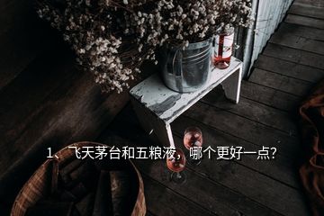 1、飛天茅臺和五糧液，哪個更好一點？