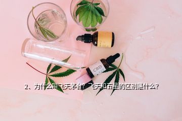 2、為什么叫飛天茅臺(tái)？飛天和五星的區(qū)別是什么？