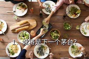 1、誰將是下一個茅臺？