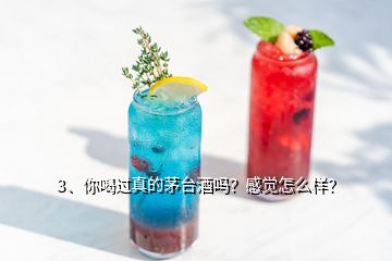 3、你喝過(guò)真的茅臺(tái)酒嗎？感覺(jué)怎么樣？