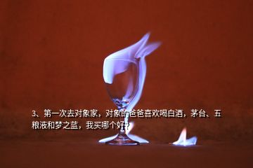 3、第一次去對象家，對象的爸爸喜歡喝白酒，茅臺、五糧液和夢之藍，我買哪個好？