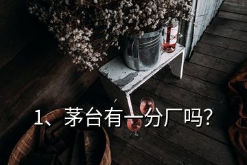 1、茅臺有一分廠嗎？