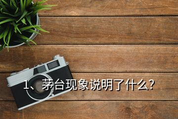 1、茅臺現(xiàn)象說明了什么？