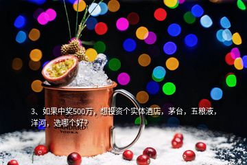 3、如果中獎500萬，想投資個實體酒店，茅臺，五糧液，洋河，選哪個好？