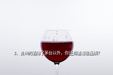 3、貴州的酒除了茅臺以外，你還知道哪些品牌？