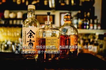 3、坐標(biāo)江蘇，想投資煙酒店，酒品牌選擇茅臺(tái)、五糧液、還是洋河？哪個(gè)市場(chǎng)前景好？