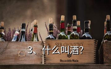 3、什么叫酒？