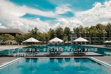 2、可怕的茅臺(tái):以一家企業(yè)，超越一省之GDP，茅臺(tái)到底是怎樣做到的？