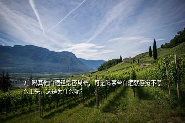 2、喝其他白酒經(jīng)常容易暈，可是喝茅臺白酒就感覺不怎么上頭，這是為什么呢？