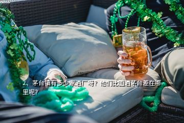 2、茅臺鎮(zhèn)有多少家酒廠呀？他們比國酒茅臺差在哪里呢？