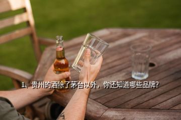 1、貴州的酒除了茅臺(tái)以外，你還知道哪些品牌？