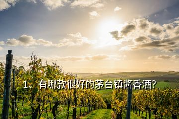 1、有哪款很好的茅臺鎮(zhèn)醬香酒？