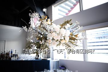 1、“五星”茅臺和“飛天”茅臺有區(qū)別嗎？