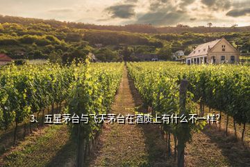 3、五星茅臺與飛天茅臺在酒質(zhì)上有什么不一樣？
