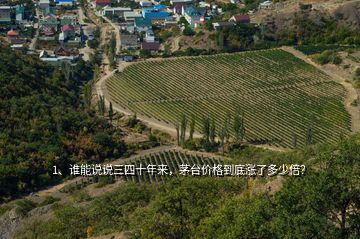1、誰能說說三四十年來，茅臺(tái)價(jià)格到底漲了多少倍？