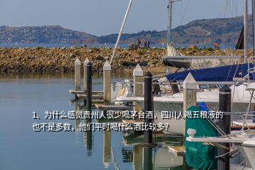 1、為什么感覺貴州人很少喝茅臺酒，四川人喝五糧液的也不是多數(shù)，他們平時喝什么酒比較多？