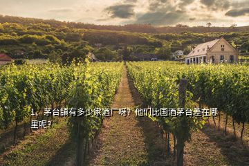 1、茅臺鎮(zhèn)有多少家酒廠呀？他們比國酒茅臺差在哪里呢？