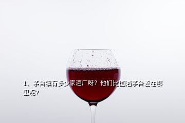 1、茅臺鎮(zhèn)有多少家酒廠呀？他們比國酒茅臺差在哪里呢？