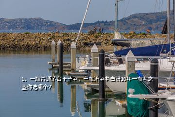 1、一瓶普通茅臺(tái)王子酒，一瓶汾酒老白汾10年一瓶海之藍(lán)你選哪個(gè)？