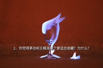 2、你覺得茅臺(tái)和五糧液哪個(gè)更適合收藏？為什么？