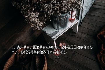 1、貴州茅臺、國酒茅臺從6月30日起不在是國酒茅臺商標?了，你們覺得茅臺酒改什么名字合適？