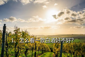 1、怎么看一款白酒好不好？