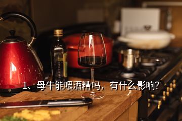 1、母牛能喂酒糟嗎，有什么影響？