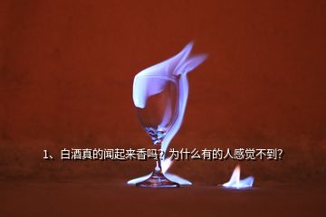 1、白酒真的聞起來香嗎？為什么有的人感覺不到？