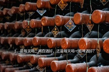 1、是每天喝二兩白酒好，還是每天喝一瓶啤酒好？