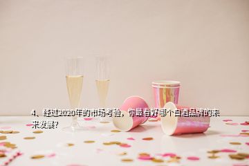 4、經(jīng)過(guò)2020年的市場(chǎng)考驗(yàn)，你最看好哪個(gè)白酒品牌的未來(lái)發(fā)展？