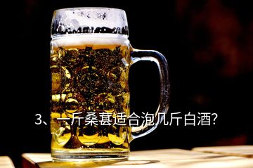 3、一斤桑葚適合泡幾斤白酒？