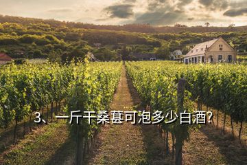 3、一斤干桑葚可泡多少白酒？