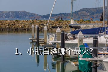 1、小瓶白酒哪個最火？