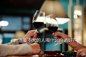 1、酒量不大的人喝什么白酒好？