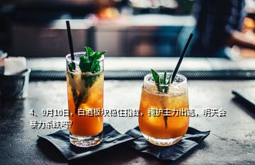 4、9月10日，白酒板塊穩(wěn)住指數(shù)，掩護(hù)主力出逃，明天會(huì)暴力殺跌嗎？