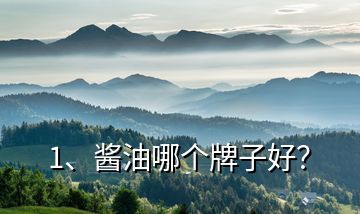 1、醬油哪個牌子好？