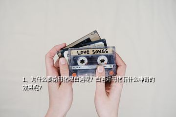 1、為什么要給母豬喝白酒呢？白酒對(duì)母豬有什么神奇的效果呢？