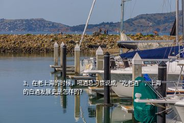 3、在老上海的時(shí)候，喝酒總習(xí)慣說(shuō)成“吃老酒”，上海的白酒發(fā)展史是怎樣的？