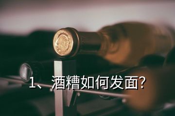 1、酒糟如何發(fā)面？