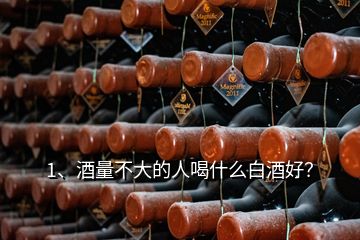 1、酒量不大的人喝什么白酒好？