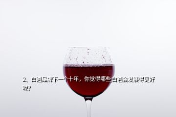 2、白酒品牌下一個(gè)十年，你覺得哪些白酒會(huì)發(fā)展得更好呢？