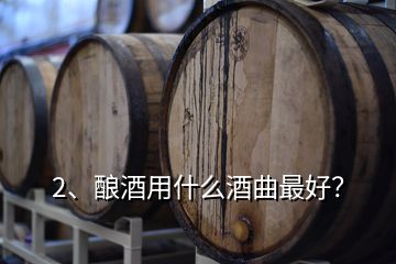 2、釀酒用什么酒曲最好？